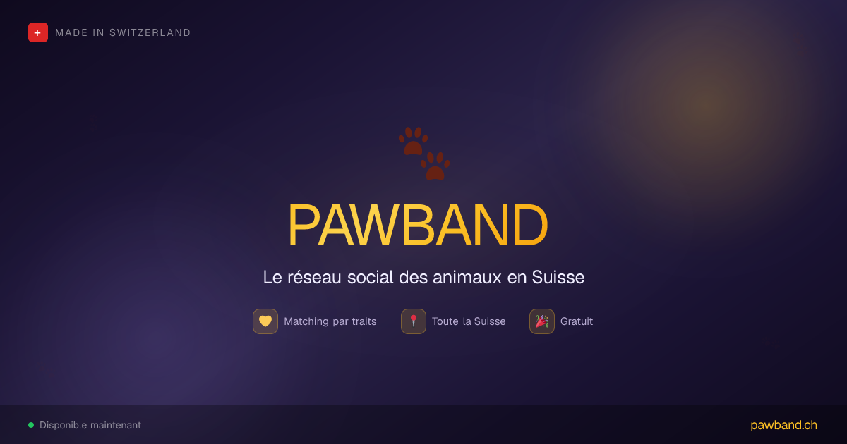 PawBand — Le réseau social des animaux en Suisse 🐾
